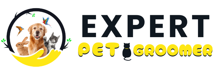 Expert Pet Groomer pet grooming in Downtown Dubai