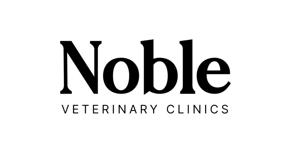 Noble Veterinary Clinic JLT pet grooming