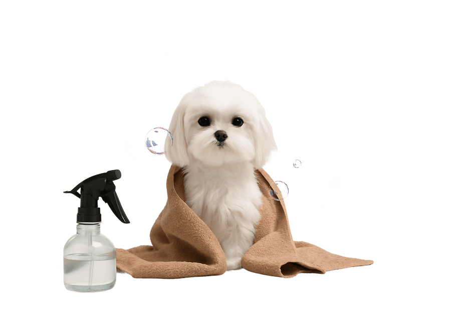 Honey Pet Groomers pet grooming
