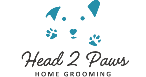 Head2paws pet grooming - Home Service Dubai pet grooming in DIFC