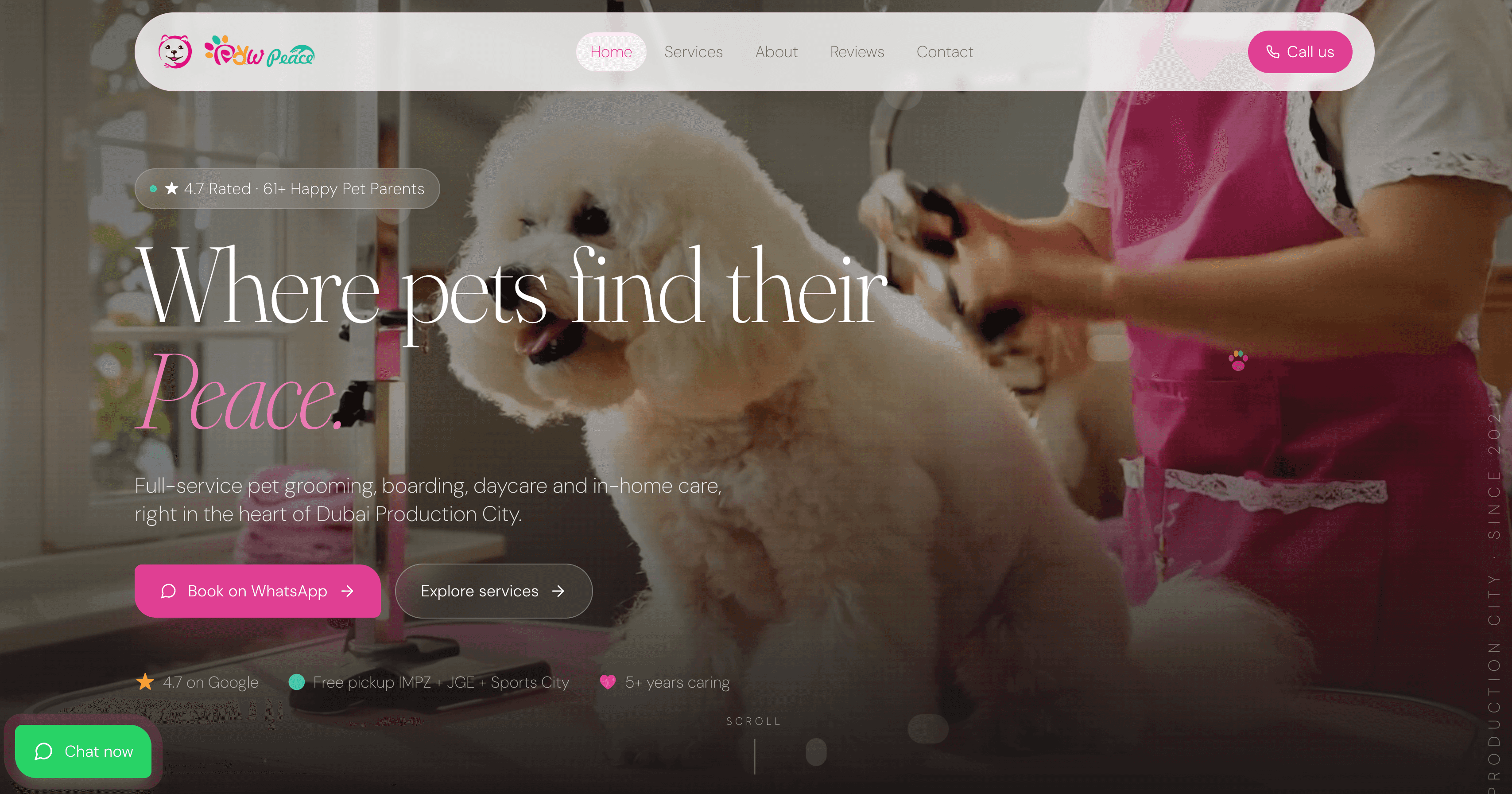 Paw Peace Domestic Pets Grooming pet grooming in Dubai Sports City