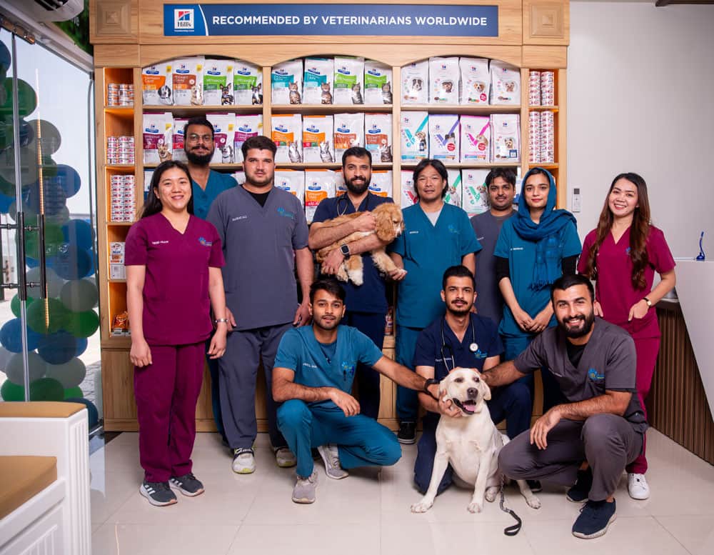 Pawsitive Veterinary Clinic - JLT pet grooming in JLT